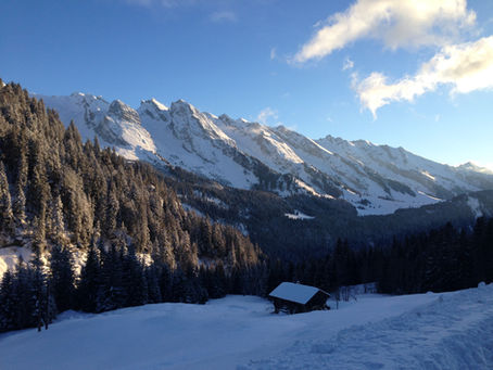 Journée Internationale de la Montagne 🌄