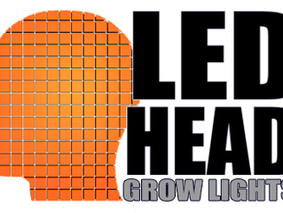 Why I Haven't Updated This Site in Forever