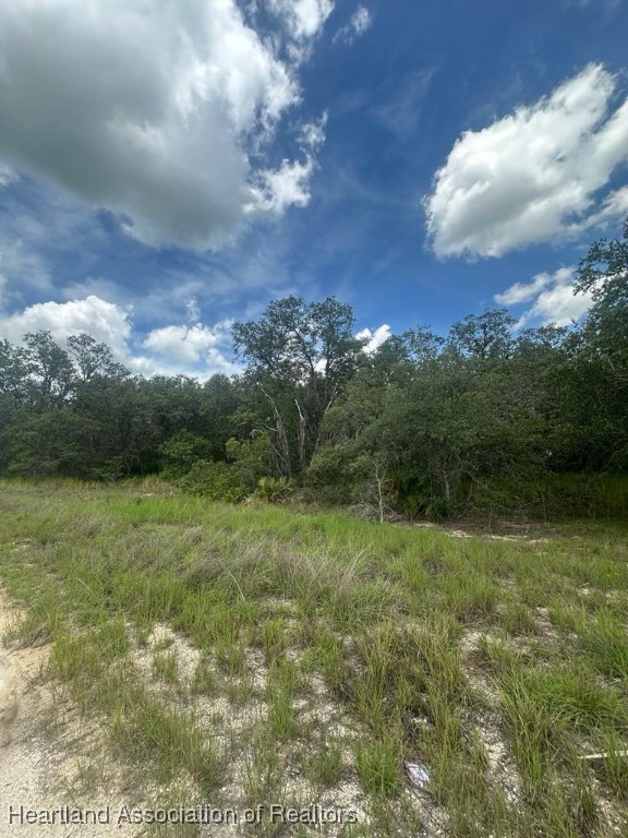 Walk to Lake Olivia, Oversized Parcel in Quiet Avon Park Neighborhood