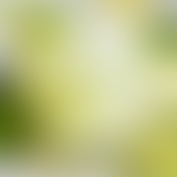 “The Miracle Drink for Health and Beauty – Especially Beneficial for Women”