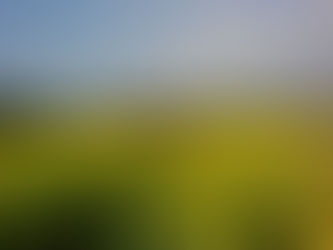 Conheça o Work Exchange e saiba como fazer um intercâmbio voluntário pagando pouco