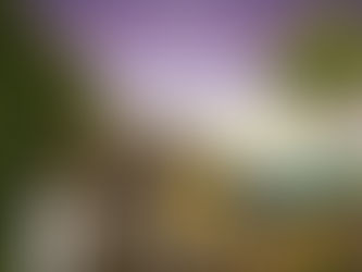 Casa Surf- Da cultura do esporte ao entretenimento