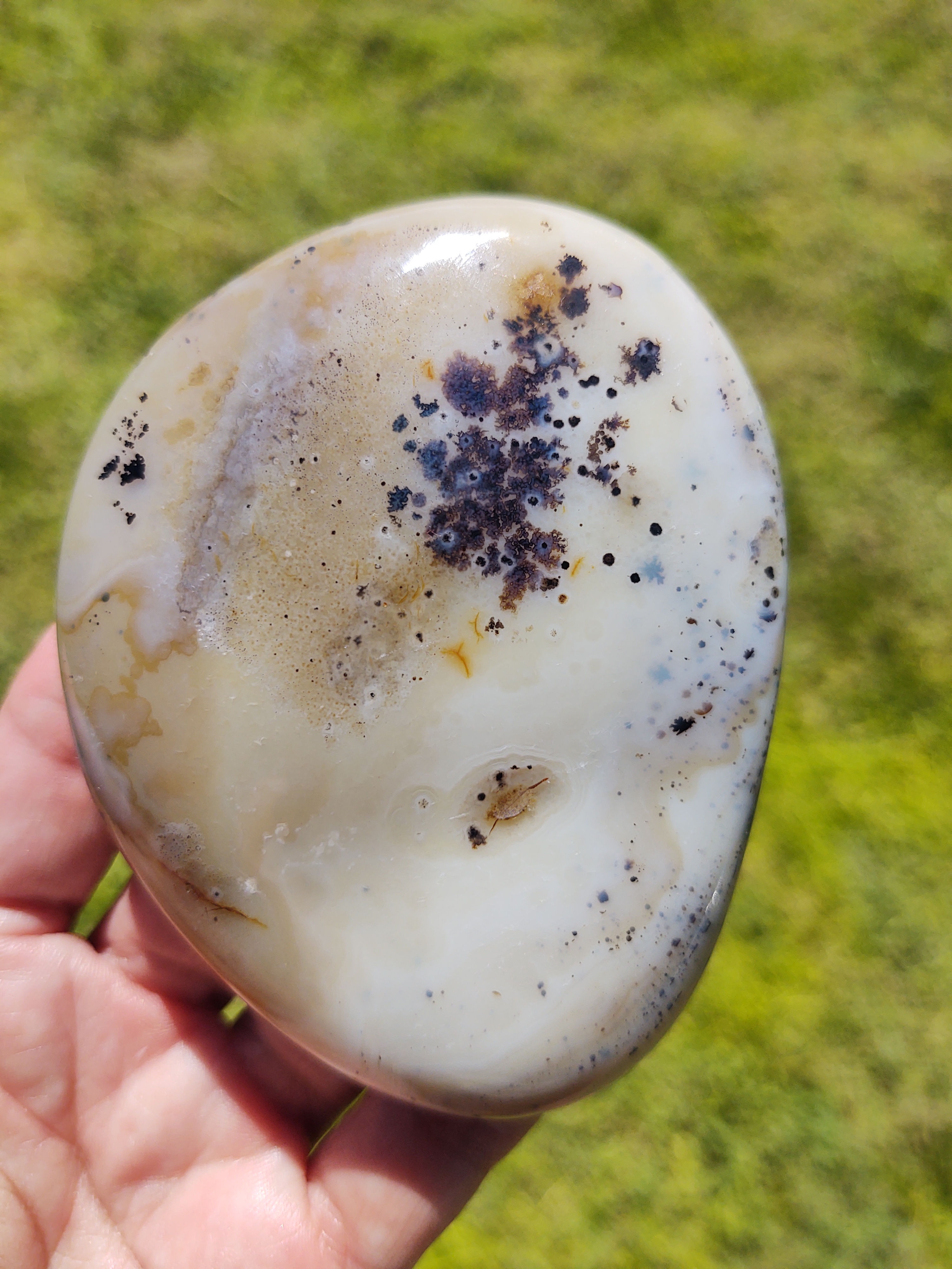 XL Dendritic Agate Palm Stone