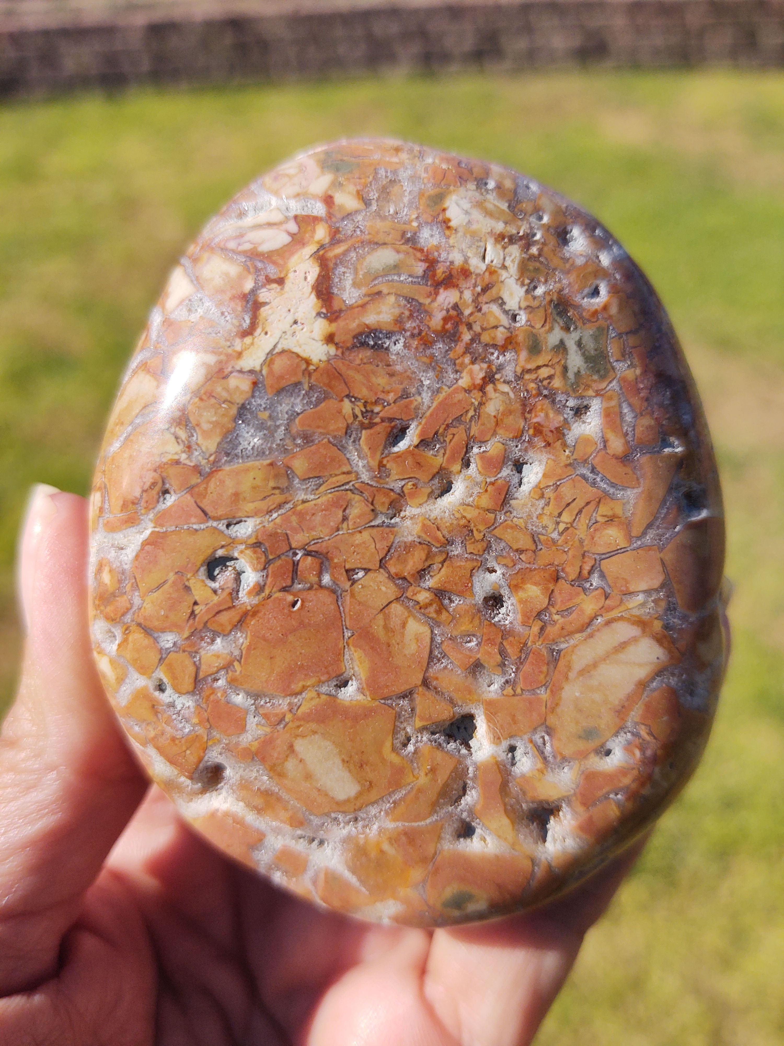 XL Ibis Jasper Palm Stone