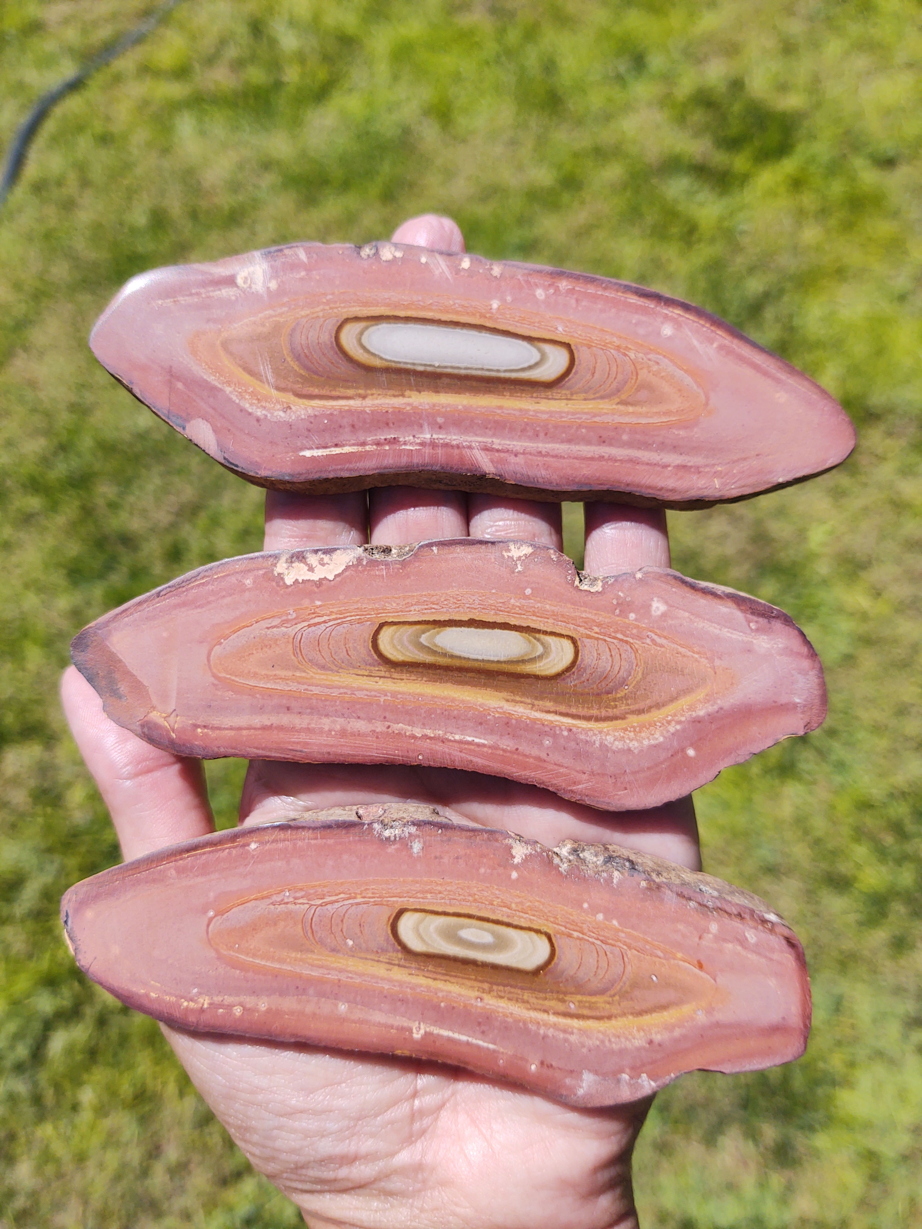 Polychrome Jasper Slab