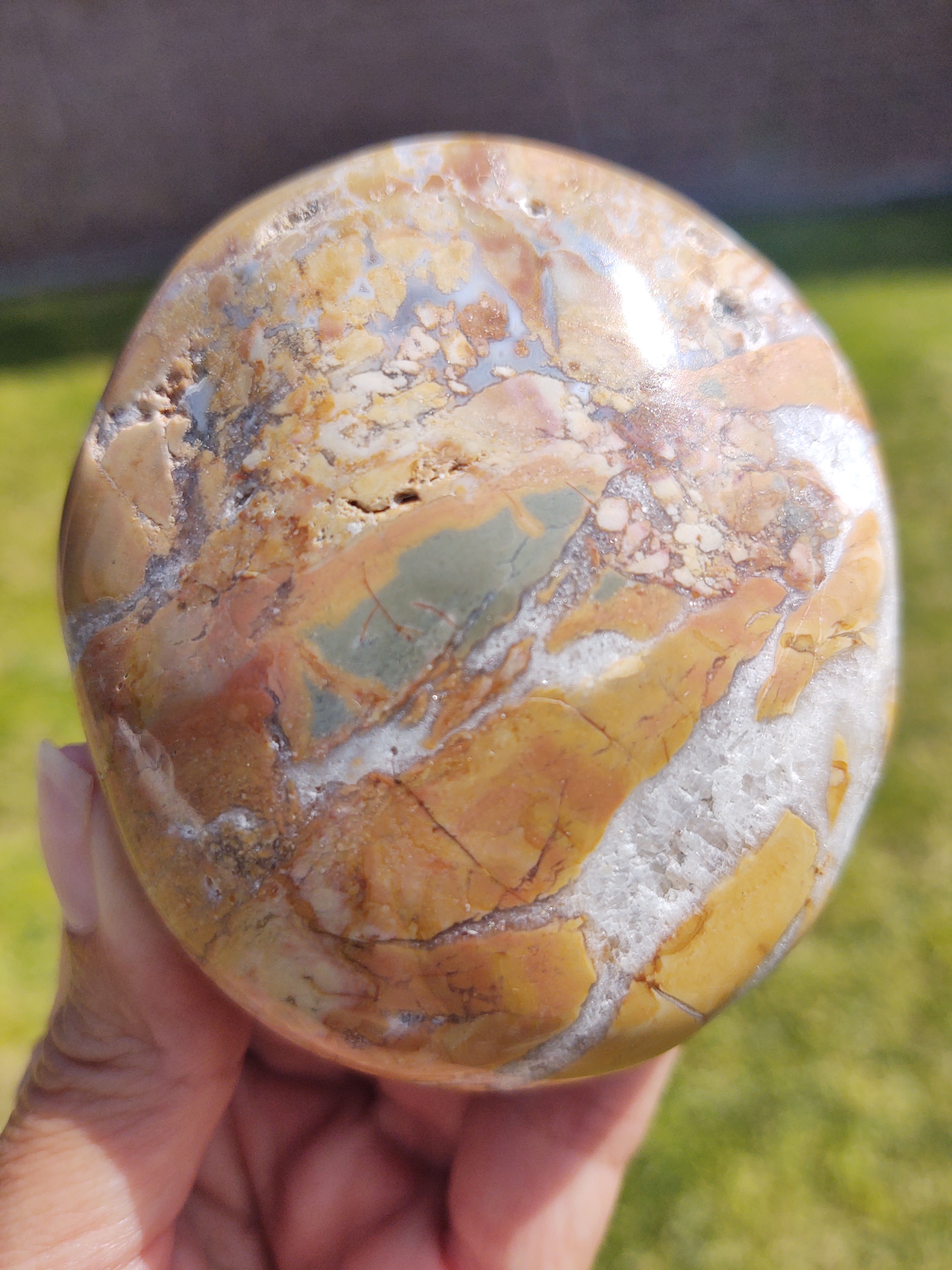 XXL Ibis Jasper Palm Stone