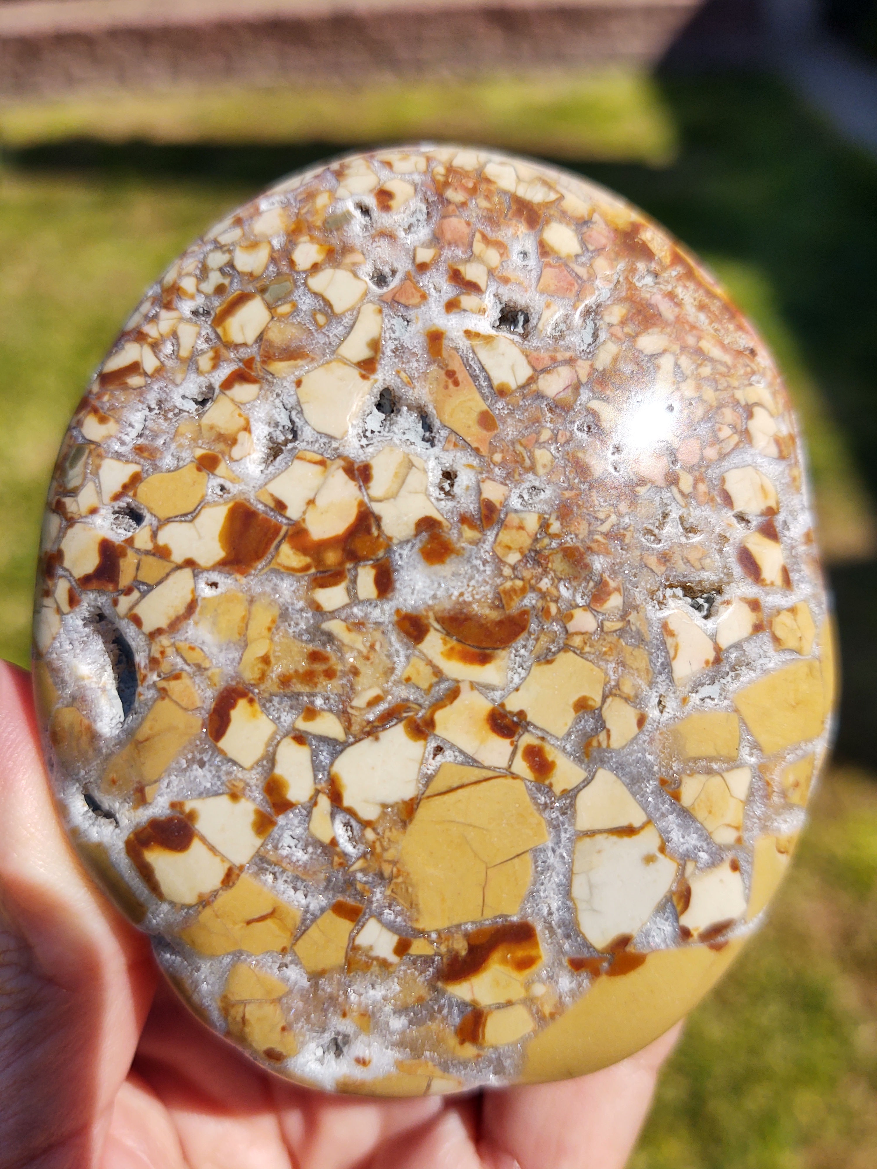 XL Ibis Jasper Palm Stone