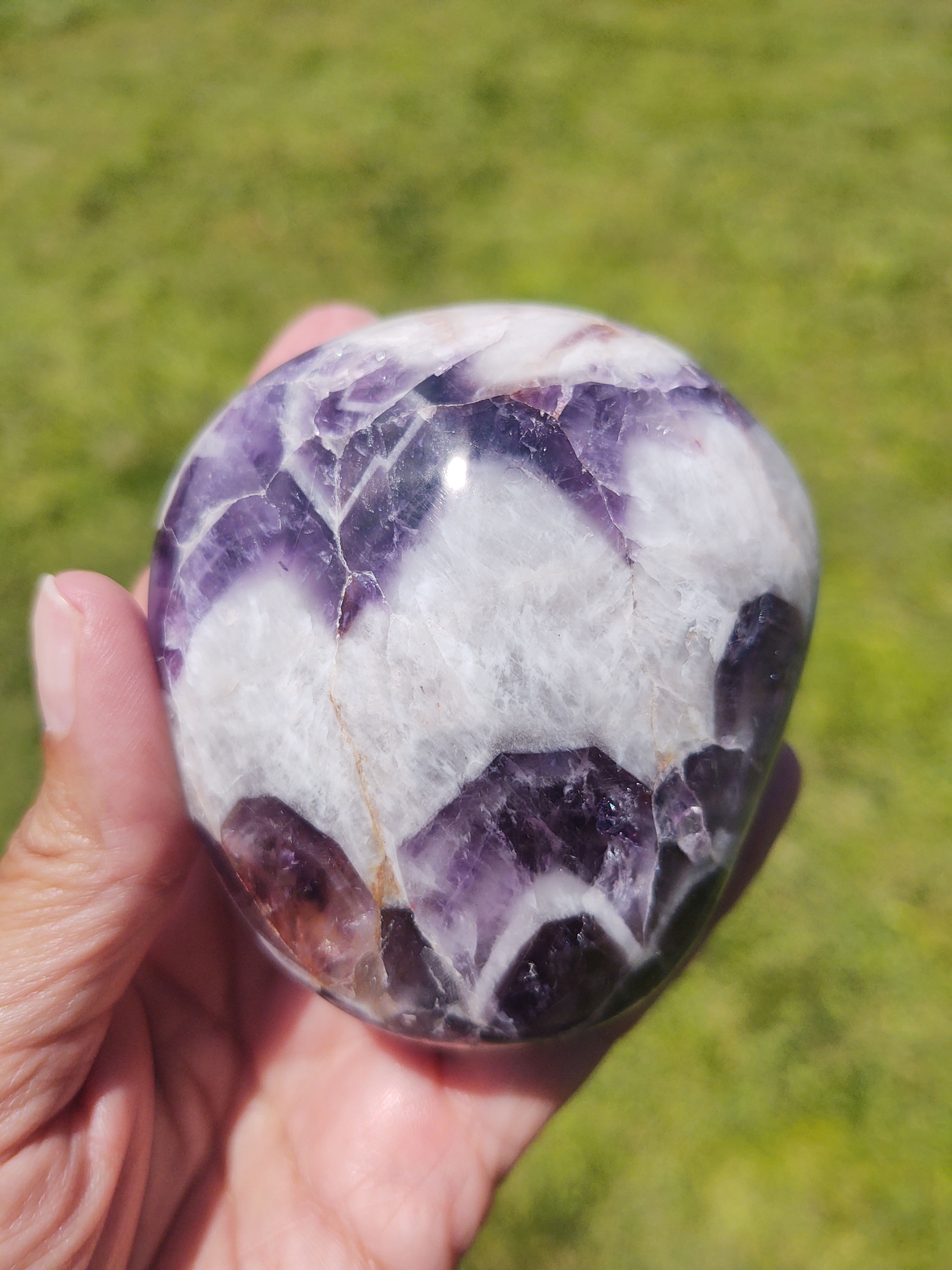 XL Brazilian Amethyst Palm Stone