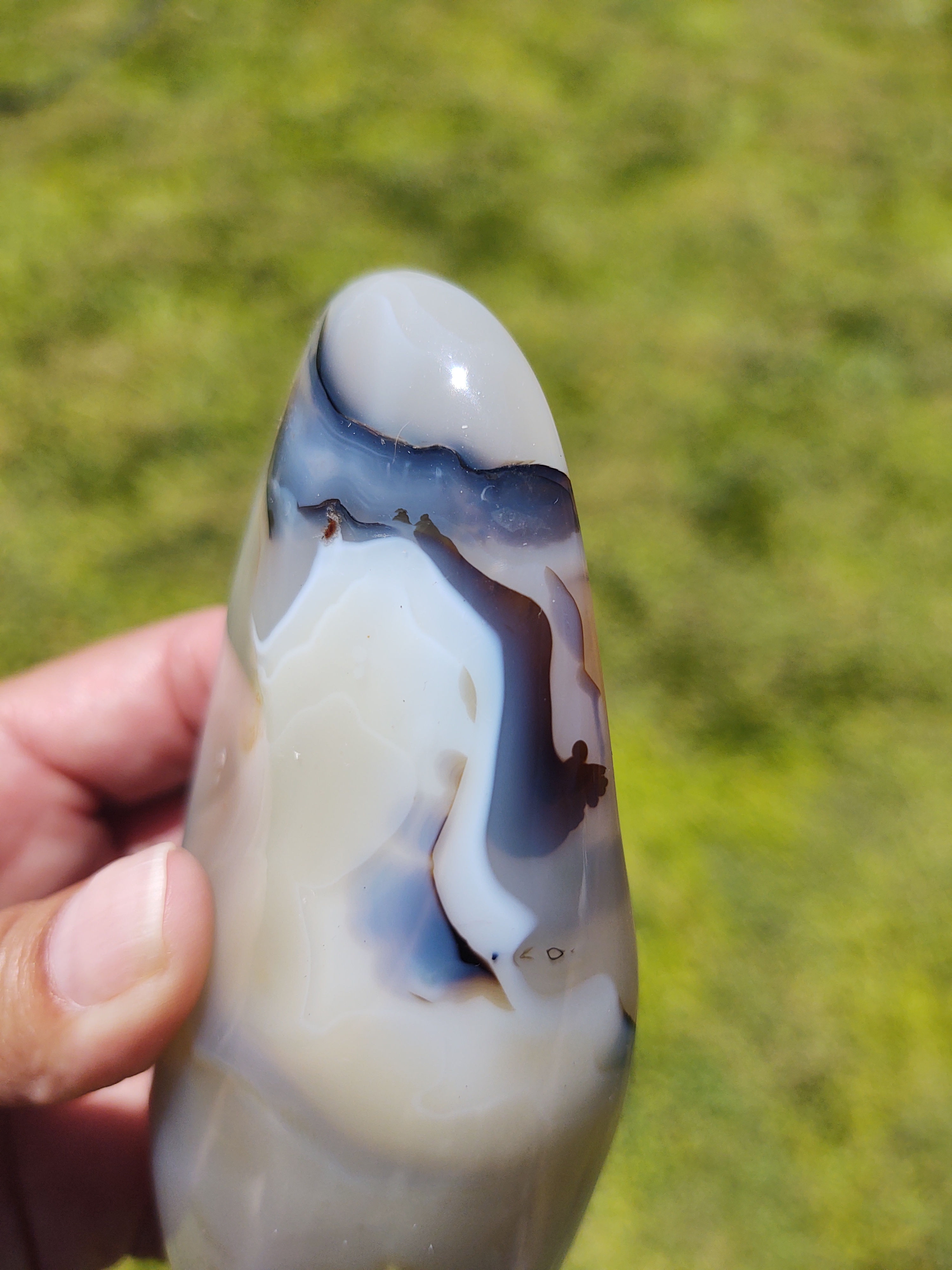 XXL Dendritic Agate Palm Stone