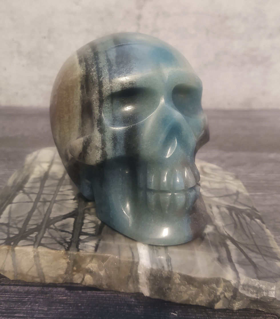 Thumbnail: RESERVED FOR MAUREEN :Trolleite Skull