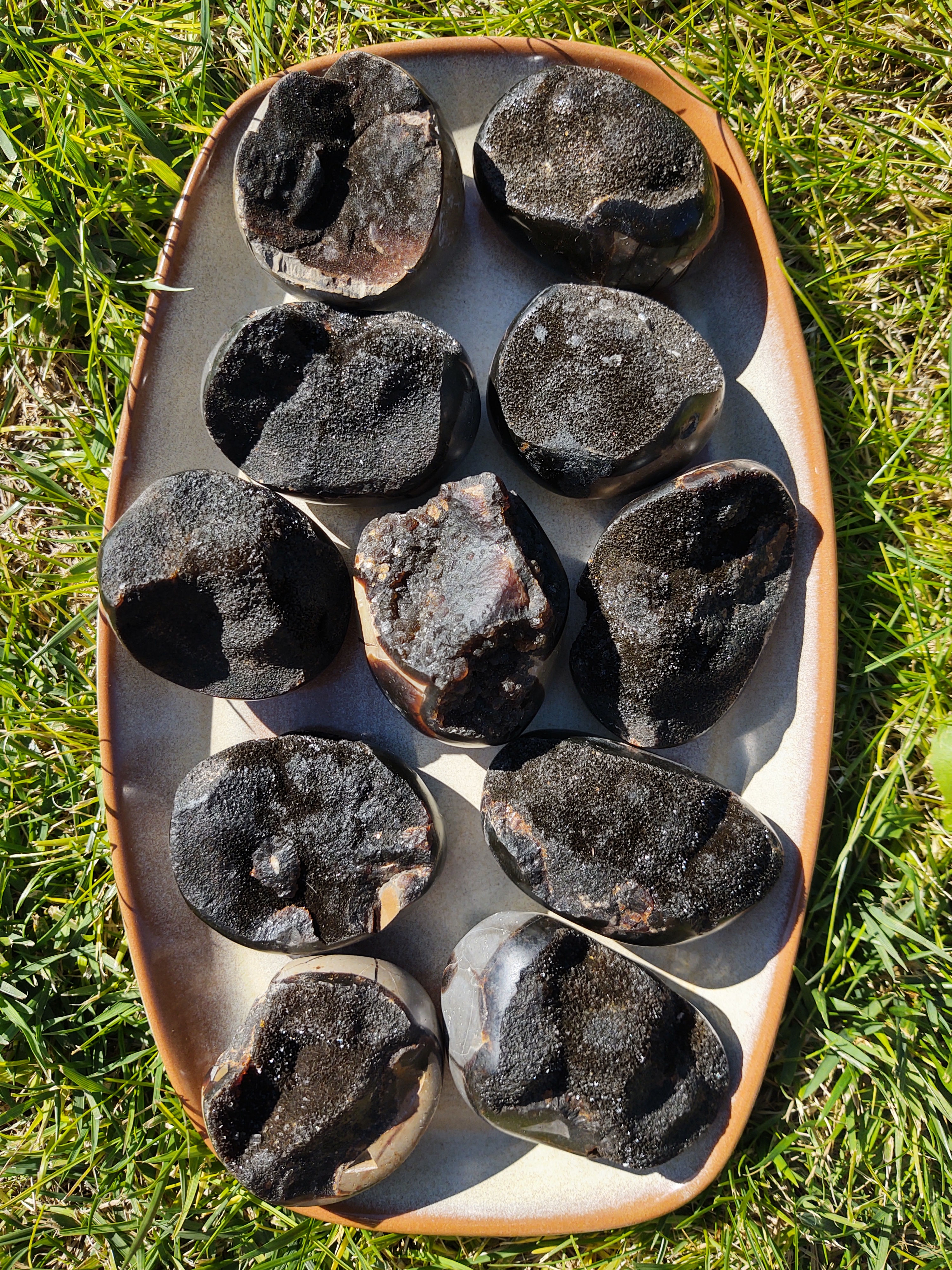 XL Druzy Dragon Septarian Palm Stone