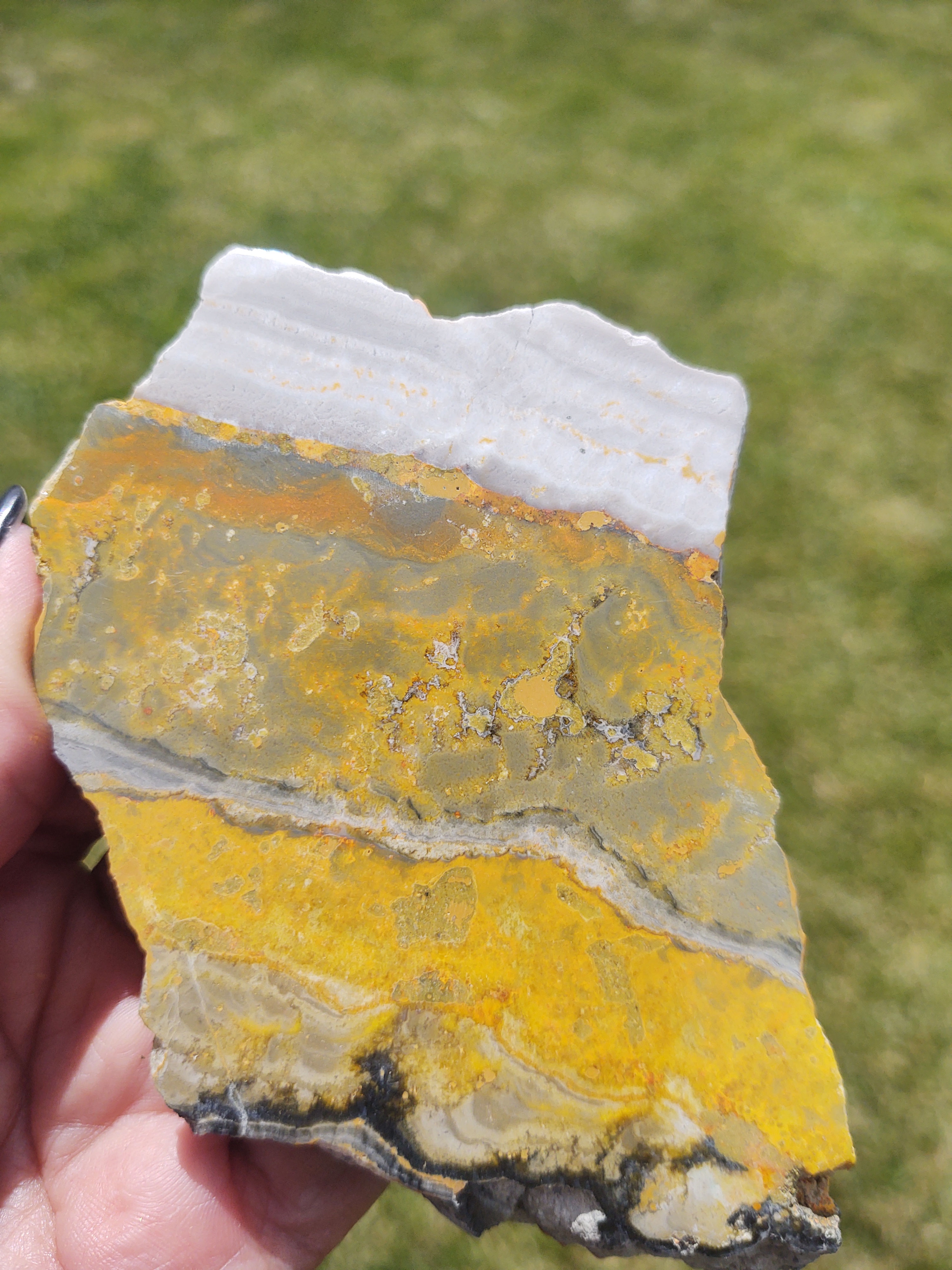 Bumblebee Jasper Slab