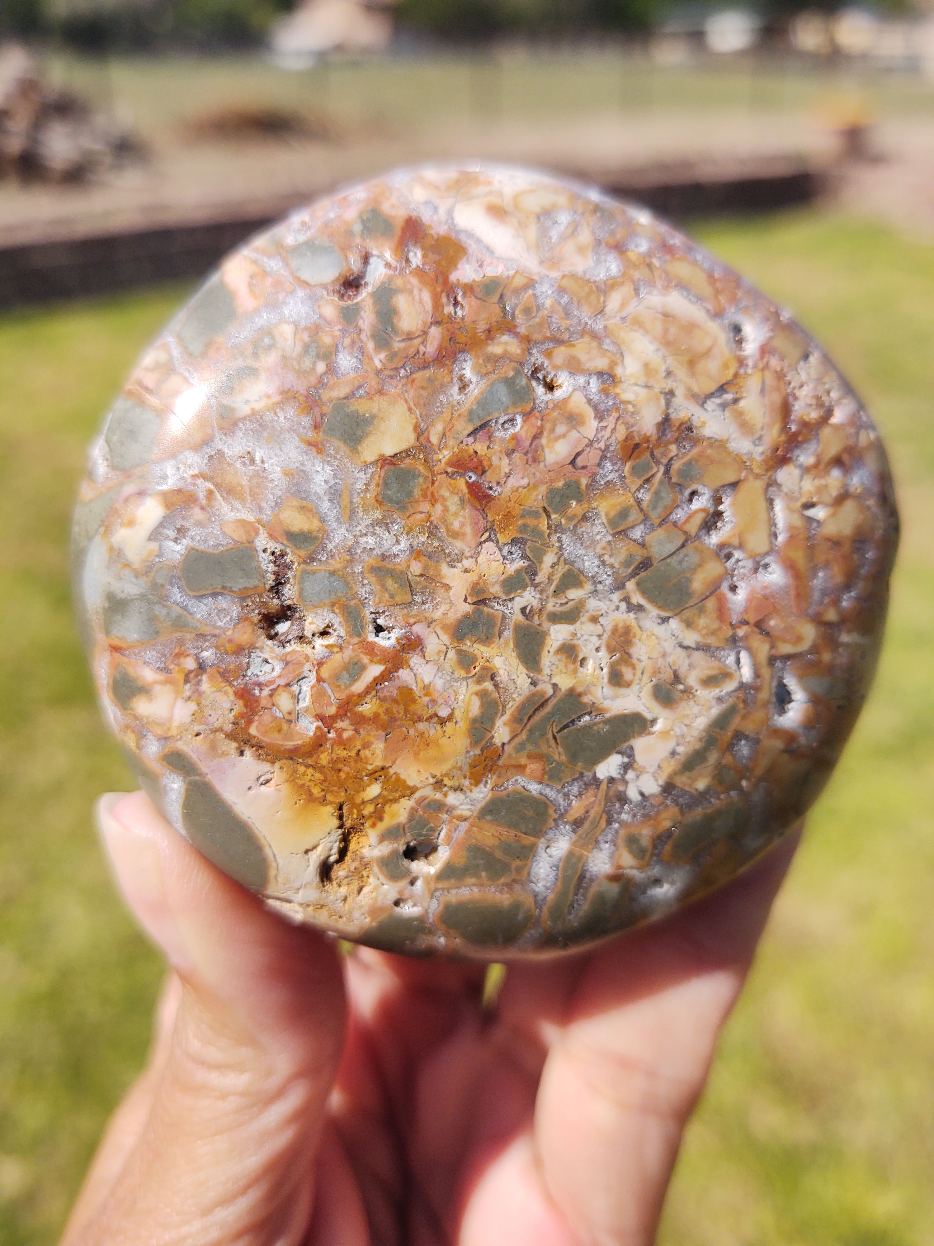 XL Ibis Jasper Palm Stone
