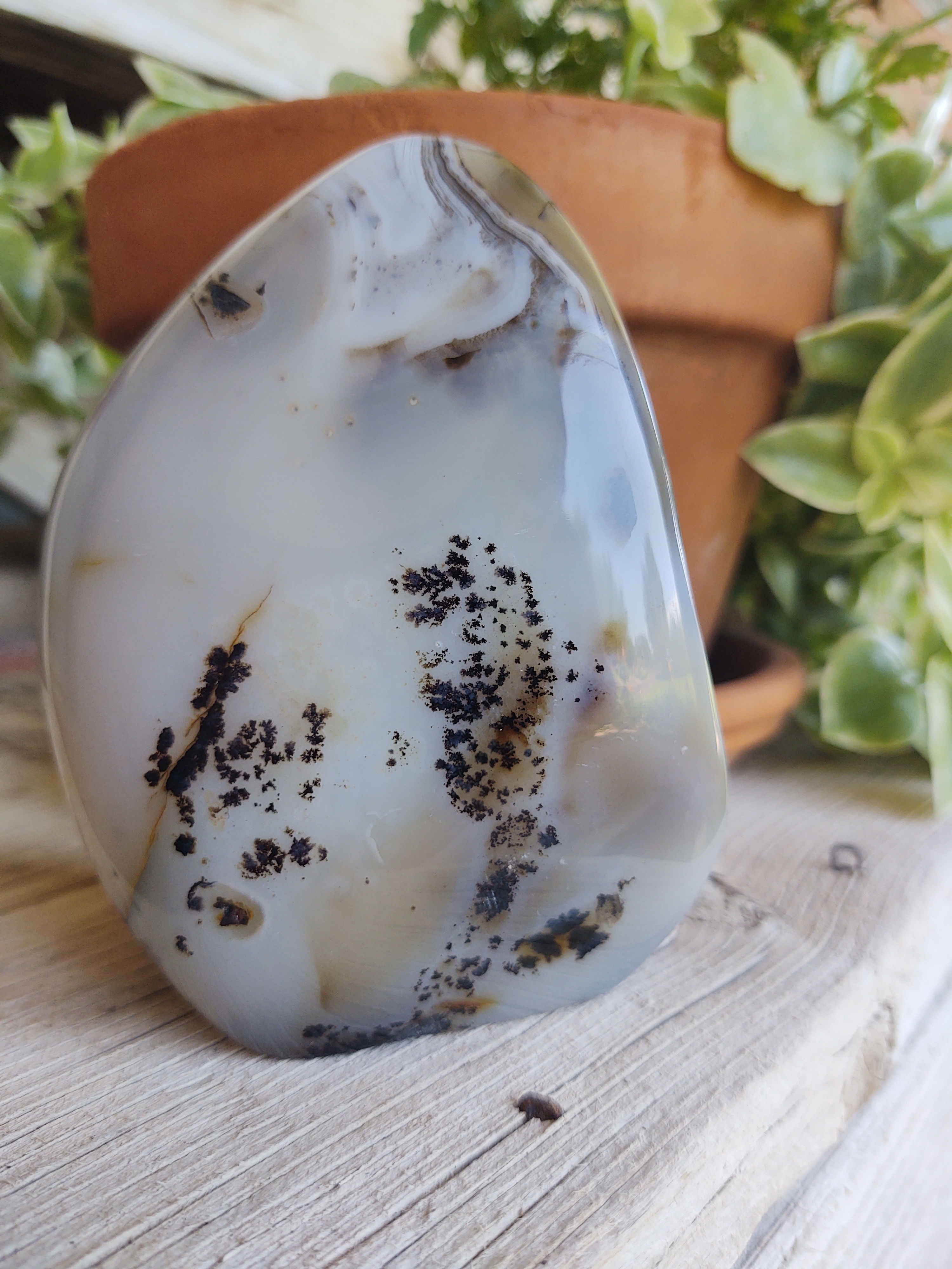 Large Dendritic Agate Free Form