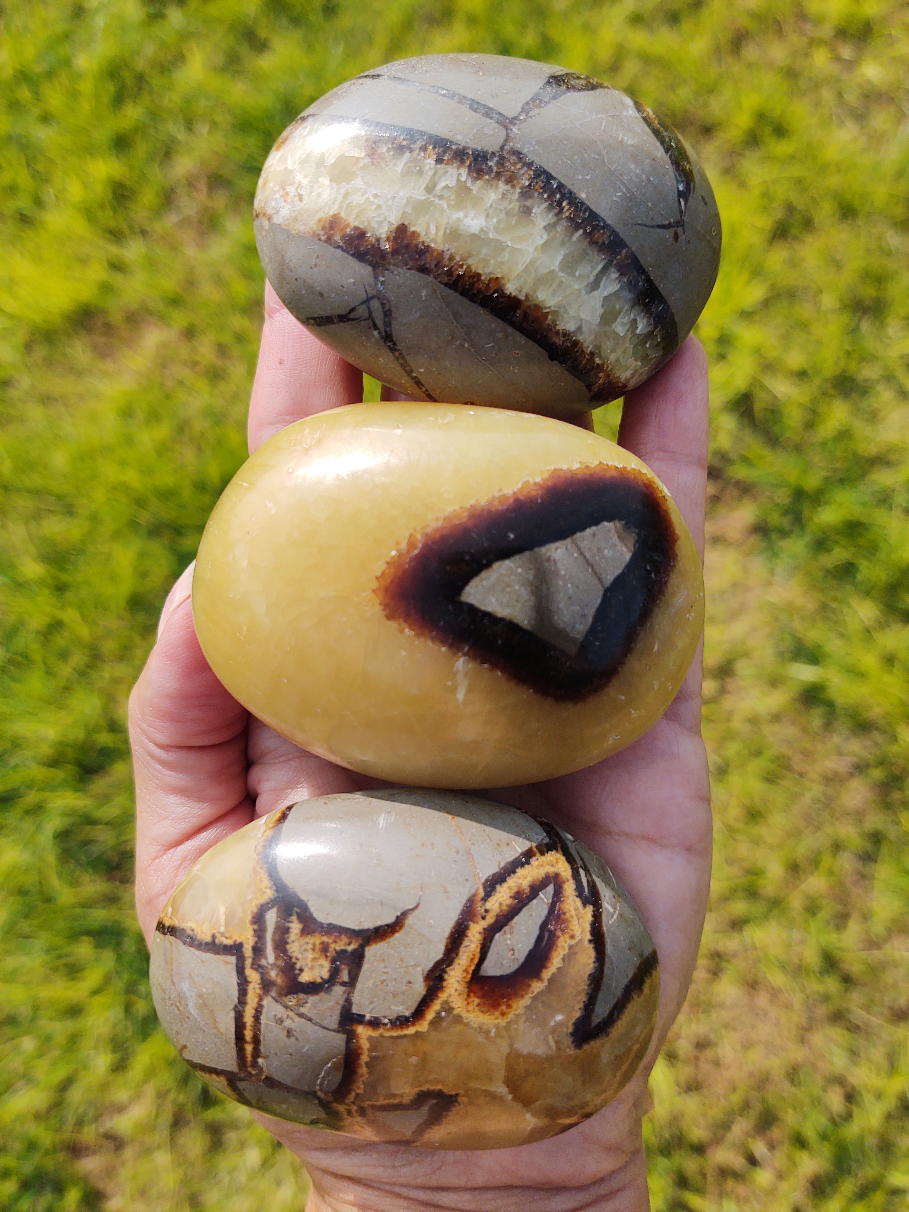 Large Septarian Palm Stone