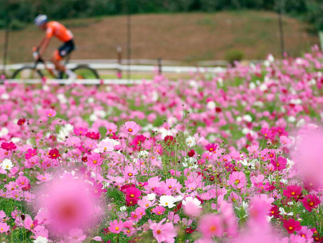 Purpose Driven Sponsoring