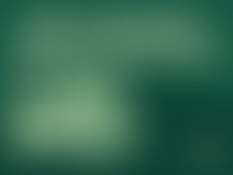 Best Neighborhoods in Spokane: A Trusted Guide for Homebuyers