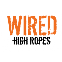 Copy of wired (1).png