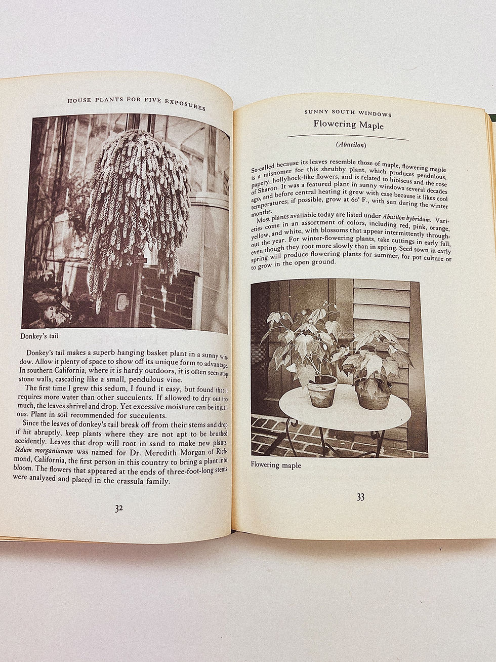 Thumbnail: 1973 House Plants for Five Exposures Book