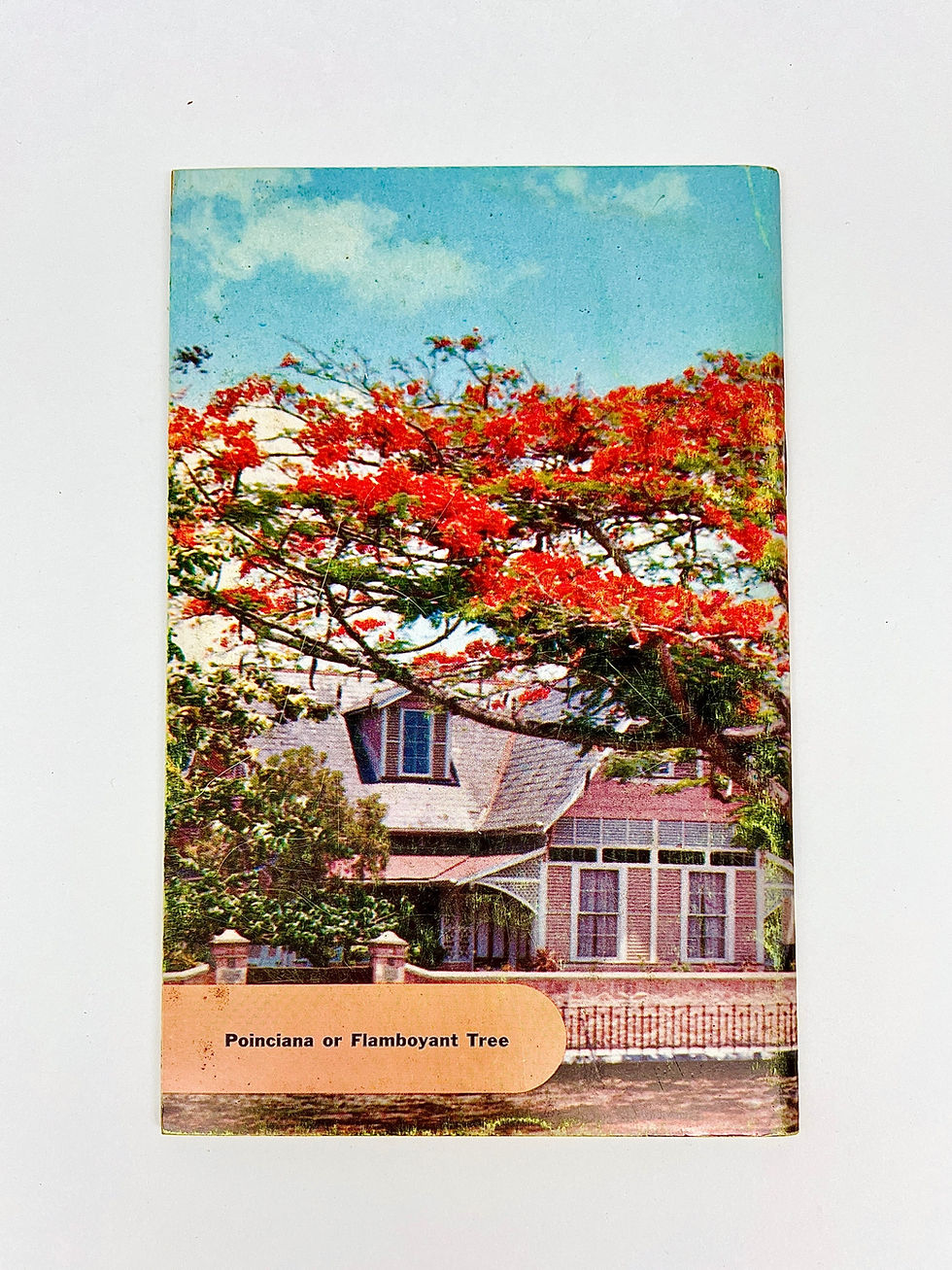 Thumbnail: Set of 3 Vintage Plant Books 