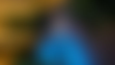 HYATT REGENCY MÉRIDA PRESENTA SALONES RENOVADOS CON DISEÑO CONTEMPORÁNEO Y EXPERIENCIAS CULINARIAS ÚNICAS