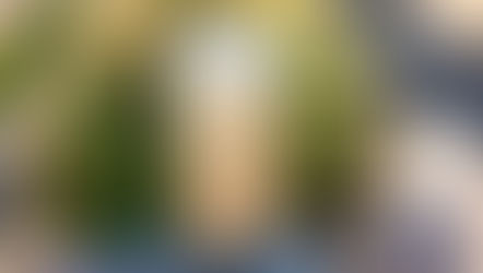 PARA ESTE CALOR DE VERANO, UN AGUA DE BORRACHITA DE GUANAJUATO