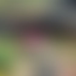 4 RAZONES PARA CELEBRAR NOCHEBUENA Y NAVIDAD DESDE EL ENCANTO DE VALLE DE BRAVO