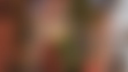 SAN MIGUEL DE ALLENDE PRESENTARÁ SU OFERTA TURÍSTICA EN NUEVA YORK