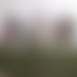 RECIBIRÁ MORELOS MÁS DE 220 MIL VISITANTES POR FESTIVIDADES DEL DÍA DE MUERTOS