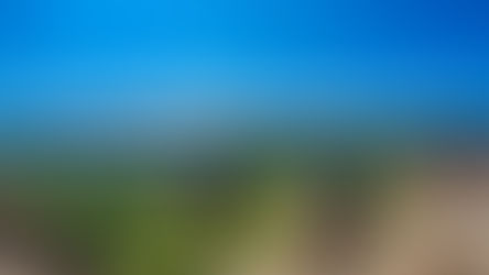 JOSEFINA RODRÍGUEZ DESTACA EL AUMENTO DEL 6.5% EN EL INGRESO DE DIVISAS EN ENERO DE 2025, COMPARADO CON 2024