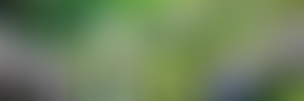 HOTELES MISIÓN UTILIZA LOS MÁS ALTOS ESTÁNDARES
DE DESINFECCIÓN PARA SUS ESPACIOS, ENSERES Y BLANCOS