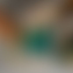 NORTE 19 FORTALECE SU ESTRATEGIA OPERATIVA Y PRESENTA LOS RESULTADOS DEL TERCER TRIMESTRE DE 2025