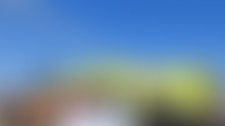 GRUPO AEROPORTUARIO DEL PACÍFICO IMPULSA LA SEGURIDAD OPERACIONAL EN AEROPUERTOS...