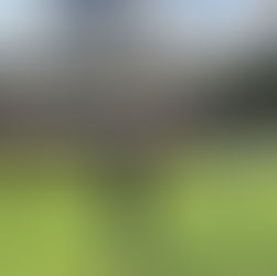 ARAJET CONSOLIDA ALIANZA CON LOS MIAMI MARLINS PARA FORTALECER LA PROYECCIÓN INTERNACIONAL DE LA REPÚBLICA DOMINICANA EN ESTADOS UNIDOS