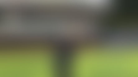 ARAJET CONSOLIDA ALIANZA CON LOS MIAMI MARLINS PARA FORTALECER LA PROYECCIÓN INTERNACIONAL DE LA REPÚBLICA DOMINICANA EN ESTADOS UNIDOS