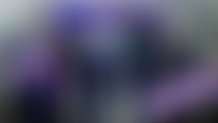 ATERRIZA EN CHILE EL PRIMER VUELO DE LA NUEVA AEROLÍNEA ARAJET