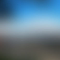 LOS VUELOS DE AMERICAN AIRLINES ENTRE VENEZUELA Y ESTADOS UNIDOS YA ESTÁN DISPONIBLES