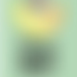 REAL DEL MONTE CELEBRA LA 17ª EDICIÓN DEL FESTIVAL INTERNACIONAL DEL PASTE