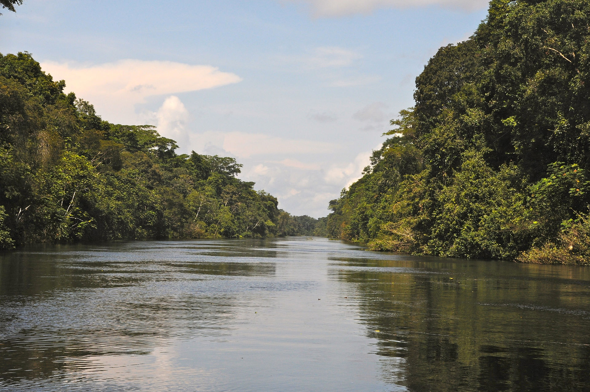 JungleExperiences-AmazonRiverCruises8