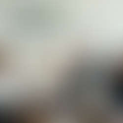 VIVA SE CONSOLIDA COMO ALIADO DELTURISMO YCRECIMIENTO EN TULUM