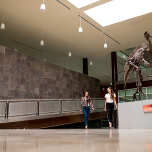 MUSEO DEL DESIERTO CHIHUAHUENSE (MUDECH)