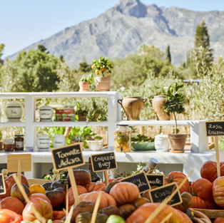 MARBELLA CLUB: UN VIAJE GASTRONÓMICO ENTRE SOSTENIBILIDAD Y TRADICIÓN