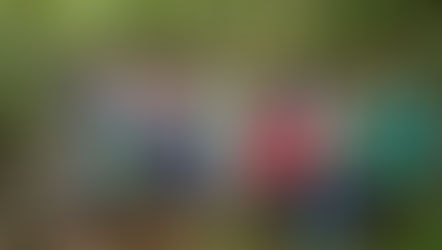 GRUPO PRESIDENTE IMPULSA IMPORTANTES PROYECTOS DE SUSTENTABILIDADEN LA PENÍNSULA DE YUCATÁN Y REFUERZA SU COMPROMISO CONTRA LA EXPLOTACIÓN COMERCIAL DE NIÑAS, NIÑOS Y ADOLESCENTES EN LA INDUSTRIA TUR