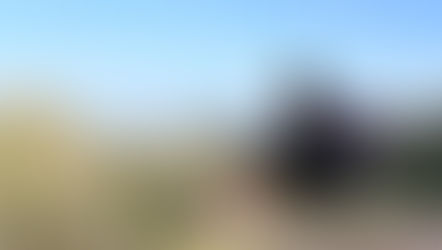 MÁS ALLÁ DE LA HISTORIA: GUANAJUATO, UN PARAÍSO PARA AVENTUREROS