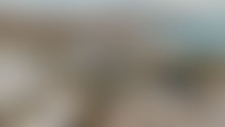 LOS SABORES SUDCALIFORNIANOS SON LOS PROTAGONISTAS DE IMPORTANTES EVENTOS EN LA PAZ, BAJA CALIFORNIA SUR