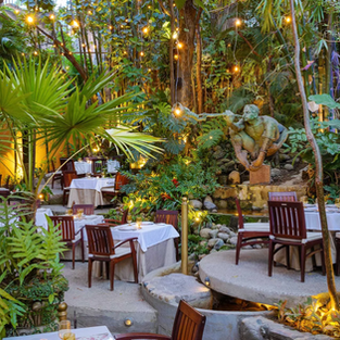 OPENTABLE REVELA LAS TENDENCIAS GASTRONÓMICAS DE JALISCO