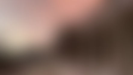 TRES IMPERDIBLES PARA CERRAR EL AÑO EN IXTAPA ZIHUATANEJO