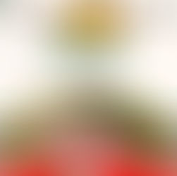 DA EL GRITO MÁS MEXICANO EN LAS FIESTAS PATRIAS DE MICHOACÁN