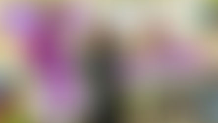 ARAJET INICIA OPERACIONES EN EL AEROPUERTO DE PUNTA CANA