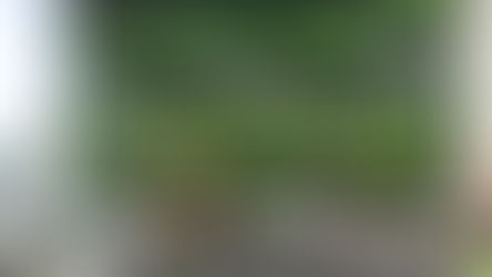 CICLISTAS MEXICANOS SE CORONAN COMO LOS GANADORES DEL GRAN FONDO NEW YORK COZUMEL 2023